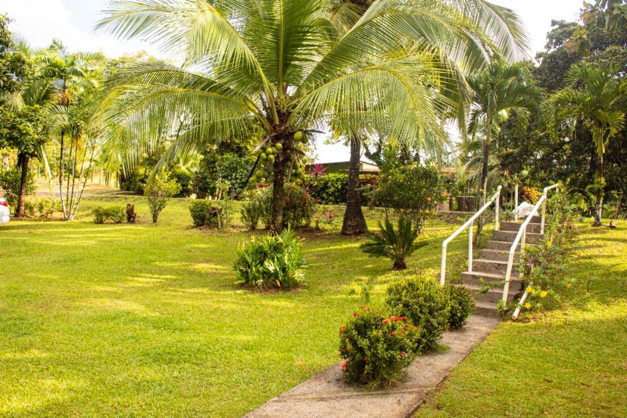 Hostal Y Restaurante Los Tecales La Coca Ngoại thất bức ảnh